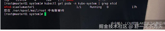 image-20240913090214864