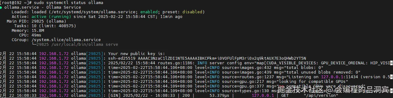 image-20250222161017832