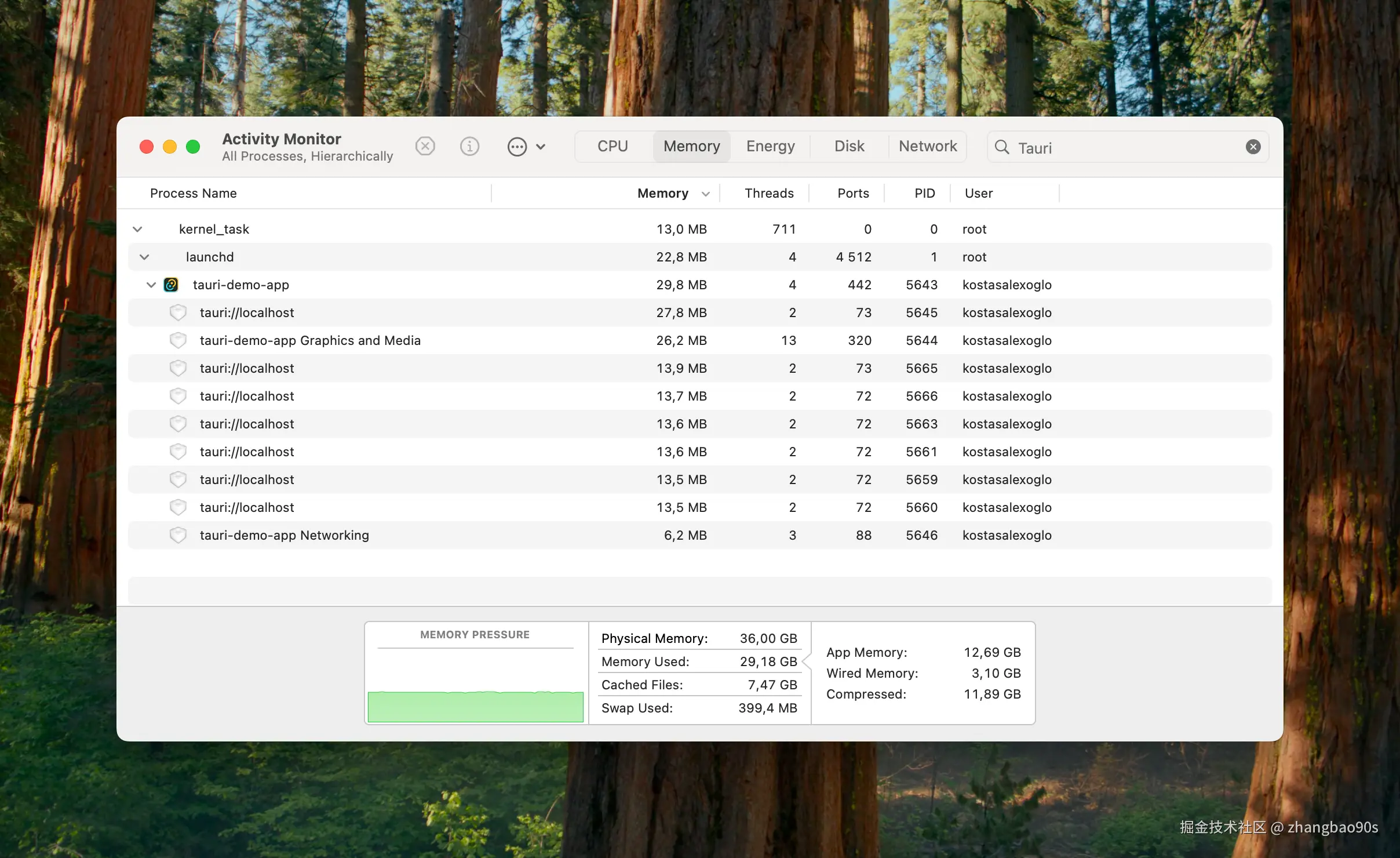 Tauri 的内存使用
