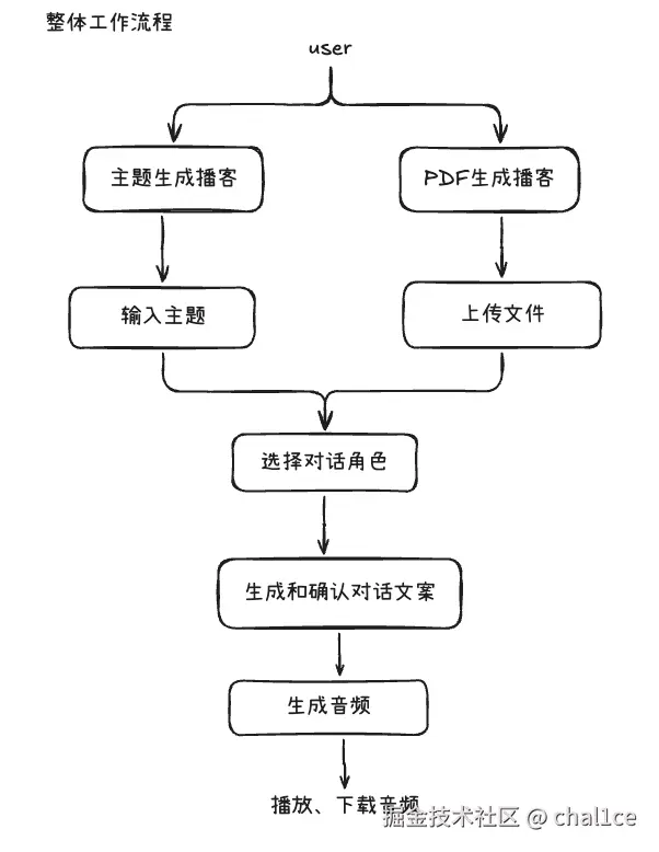 整体工作流程