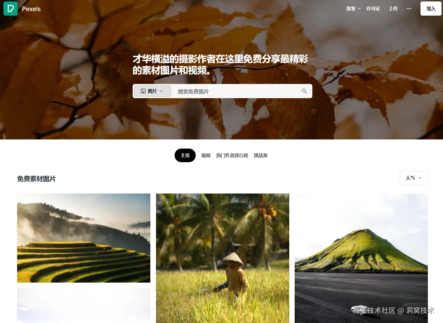 image-20240909135209253