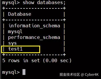 image-20250702175038178