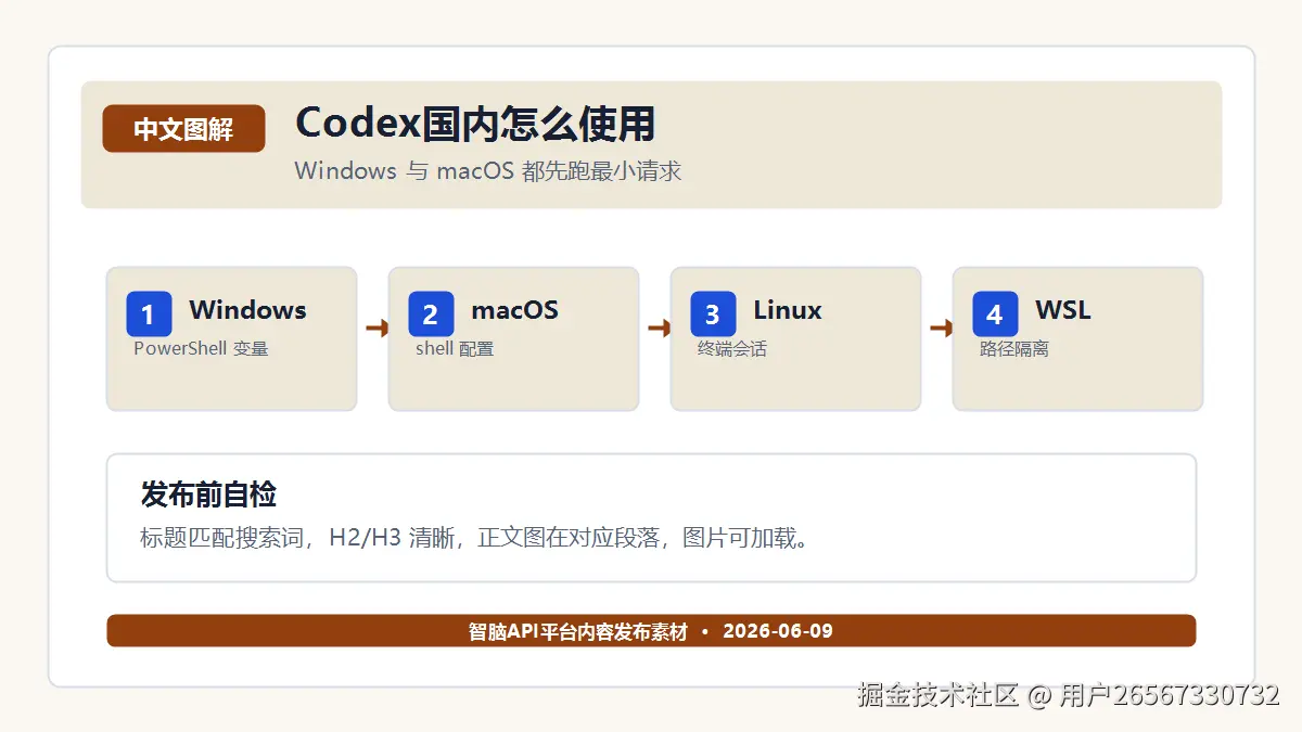 Codex 接入失败怎么排查？环境变量和 config.toml 检查顺序 图解二：配置字段检查顺序