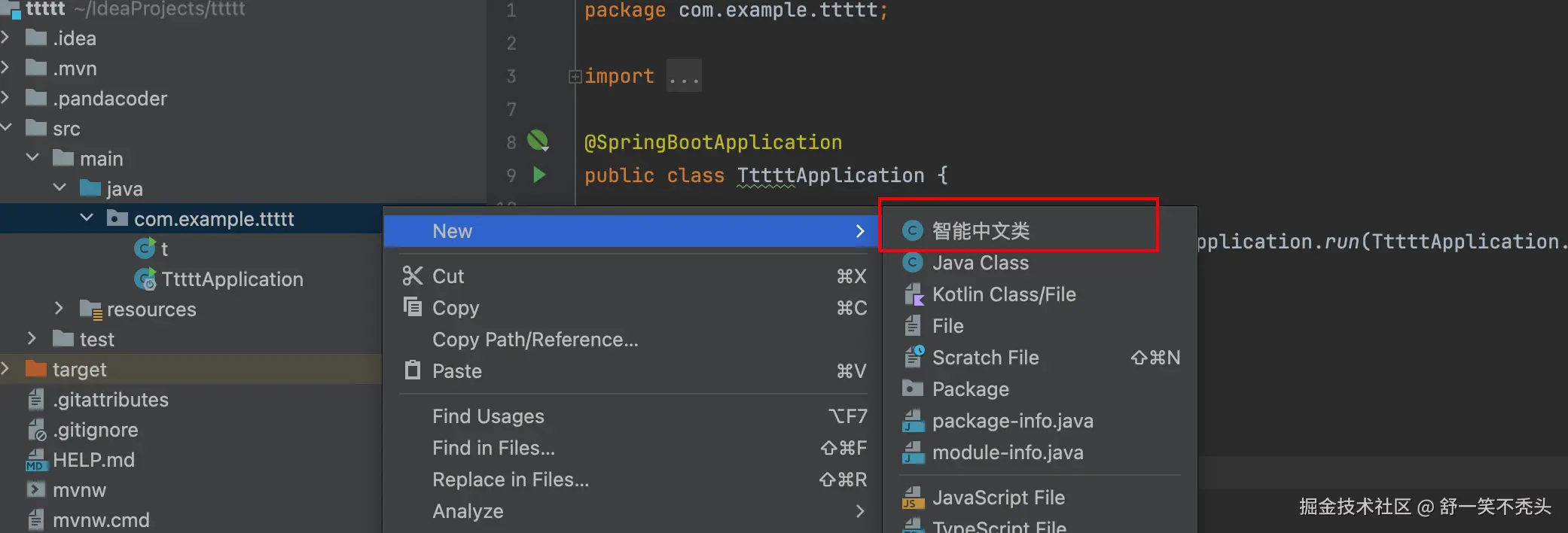 图5：中文编程助手功能演示