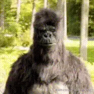 a30f2fbaced14ac1b68cdaf6a1e12300.gif