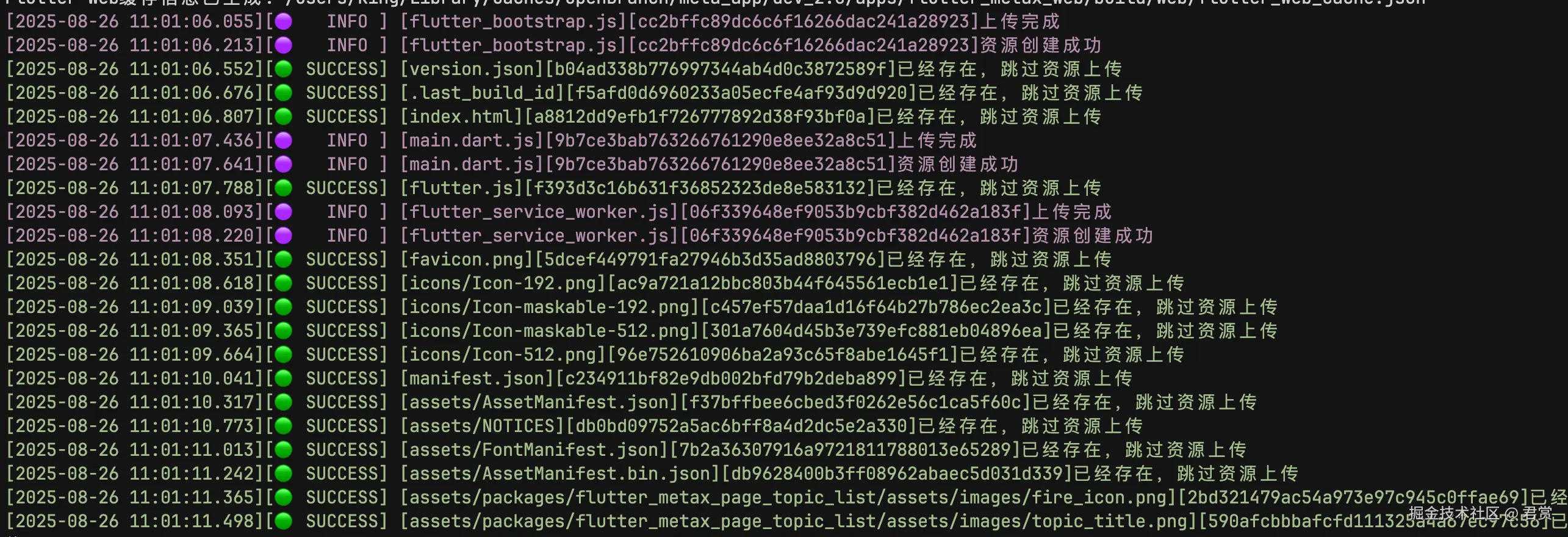 image-20250826110239580.png