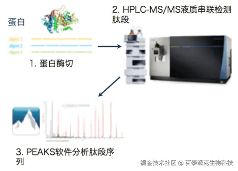 20221219-1776-蛋白质质谱测序流程.png