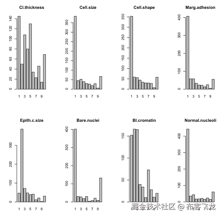 Bar Plot in R