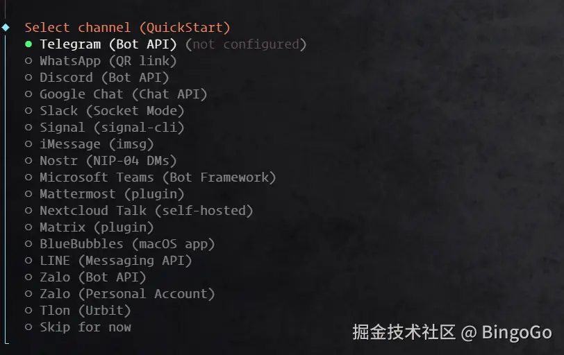 OpenClaw 钉钉教程 - channel 渠道配置选项