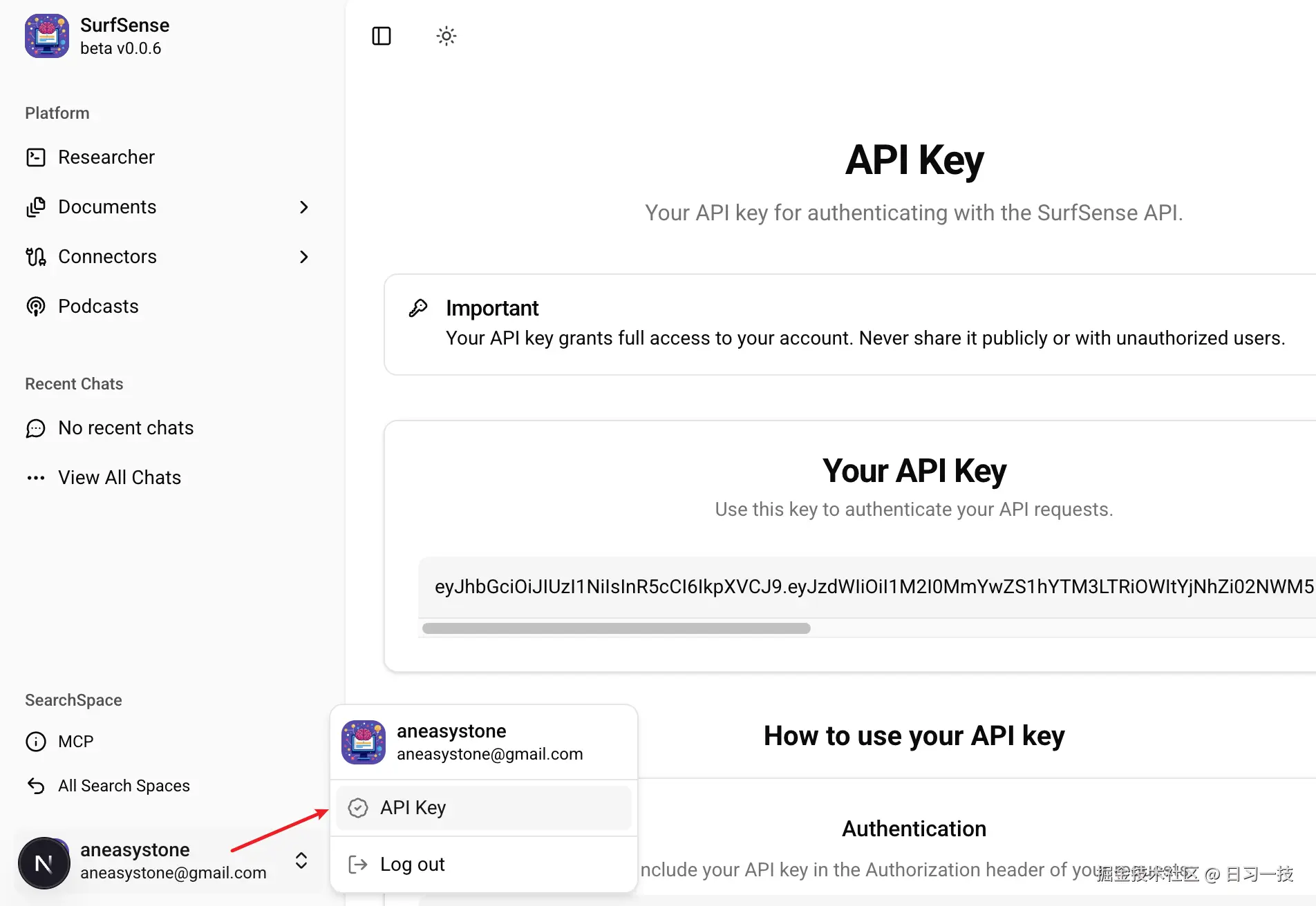 surfsense-api-key.png