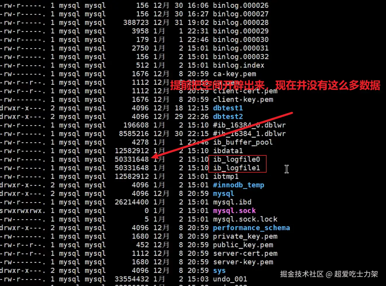 image-20220328151926842