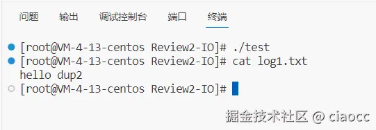 image-20231007212235213