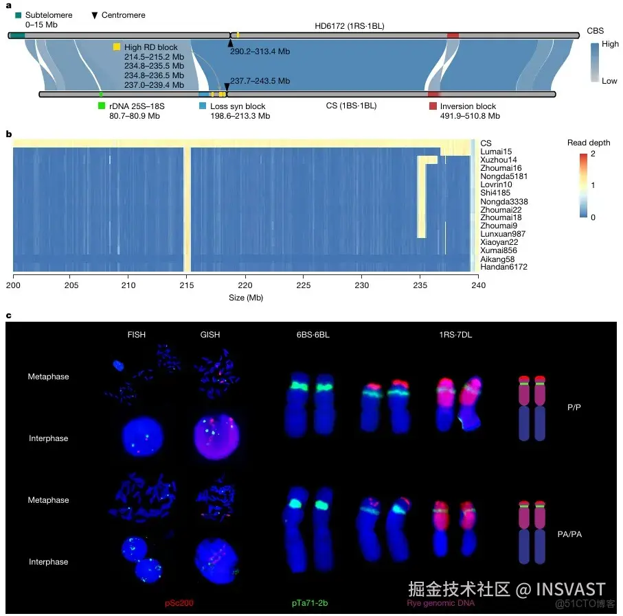  Sentieon项目文章 | 泛基因组揭示小麦结构变异与栖息地及育种的关联_数据库_07