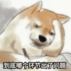 哪个环节出了问题