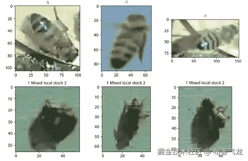 蜜蜂图像的拼贴，自动生成的描述