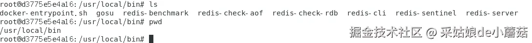 image-20240605222309415.png