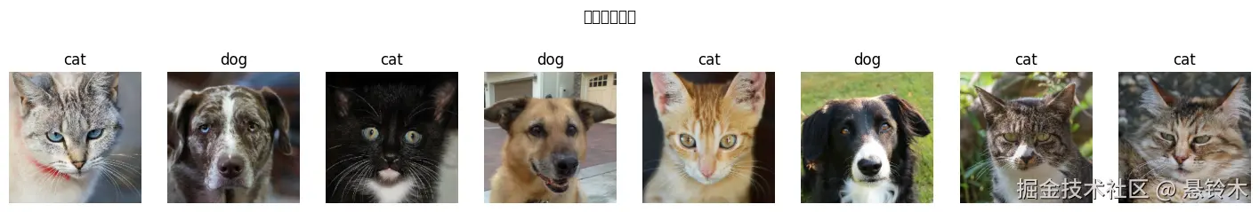 t8_catdog_23_3.png