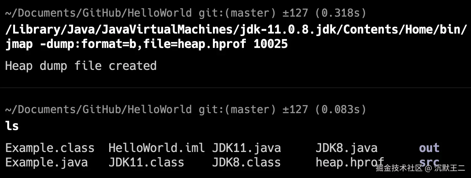 二哥的 Java 进阶之路：jmap