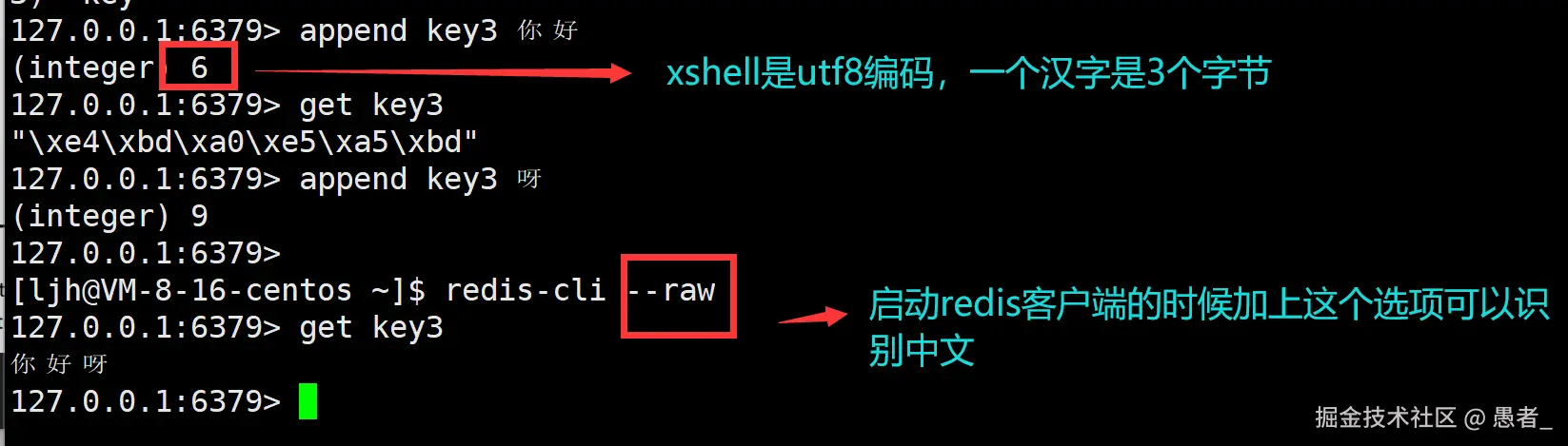 image-20240702143955675