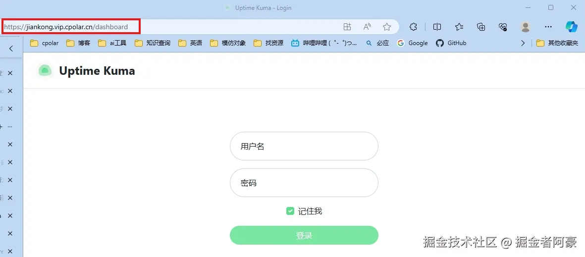 image-20231220174602525