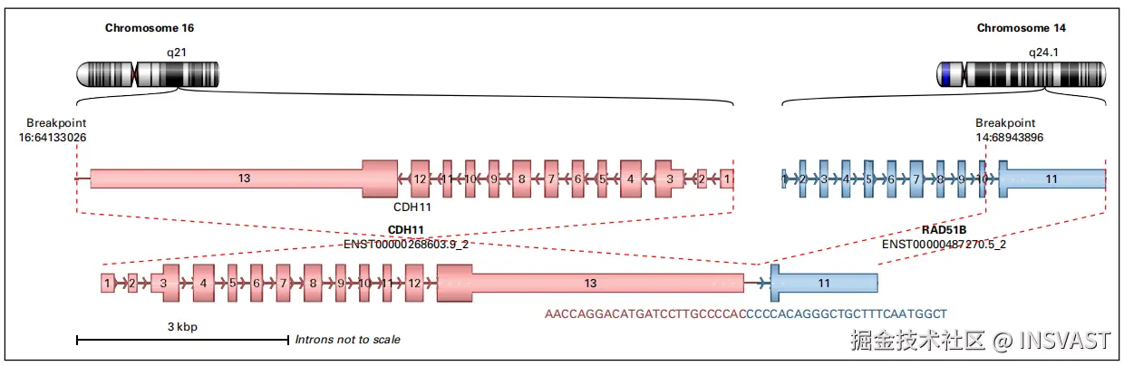 10dae4eb-da1a-4dbb-be2e-4ae24071cb30.png