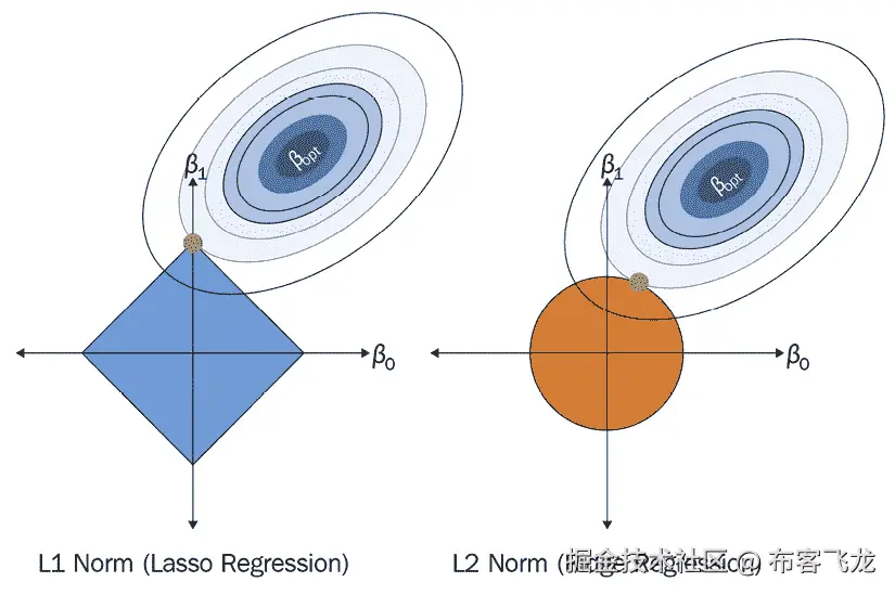 图 8.5 – 使用 L1 范数（套索回归）与 L2 范数（岭回归）进行正则化
