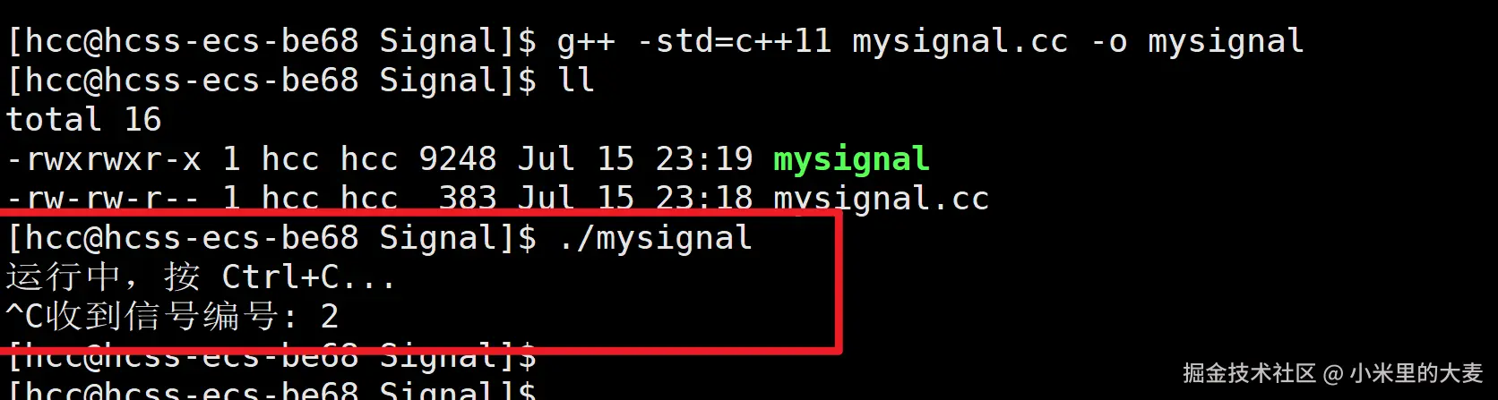 image-20250715232026079