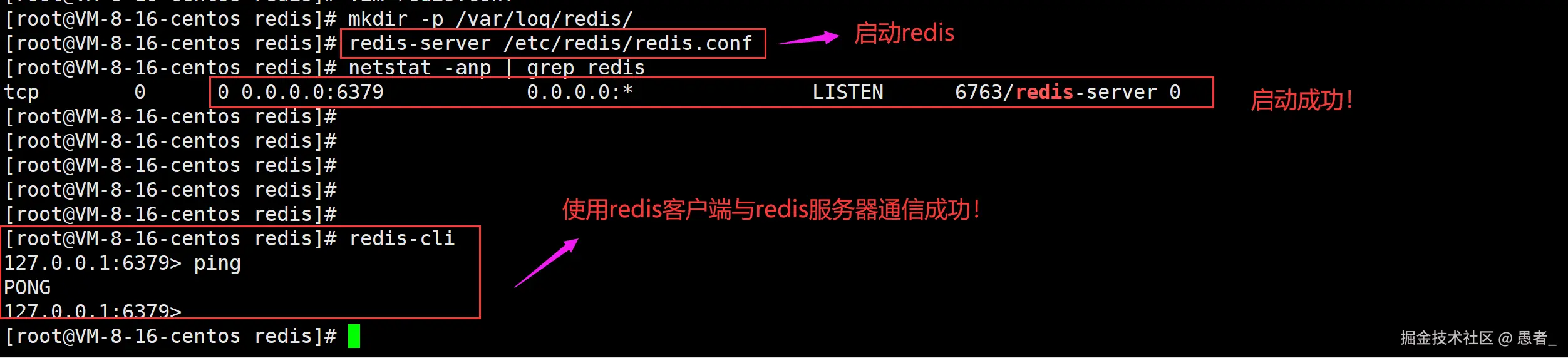 image-20240629163100647