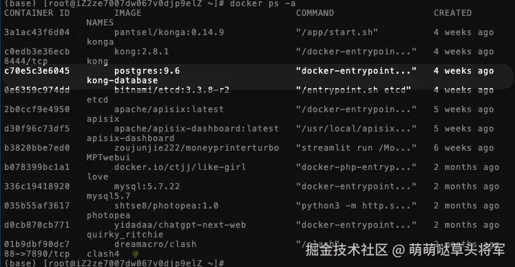 Docker 部署过 PostgreSQL