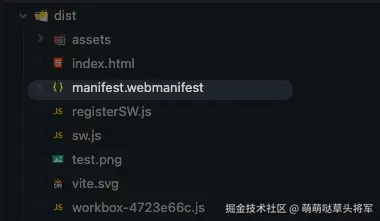 生成的 manifest.webmanifest