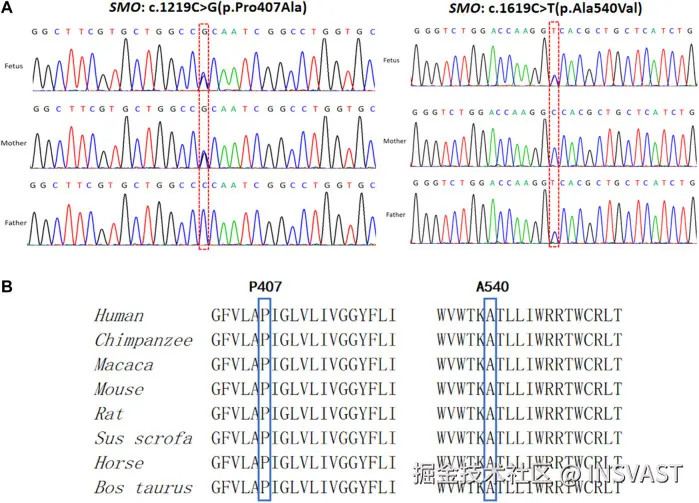 fgene-13-887082-g003.jpg
