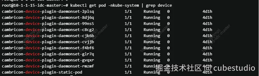 安装 device plugin