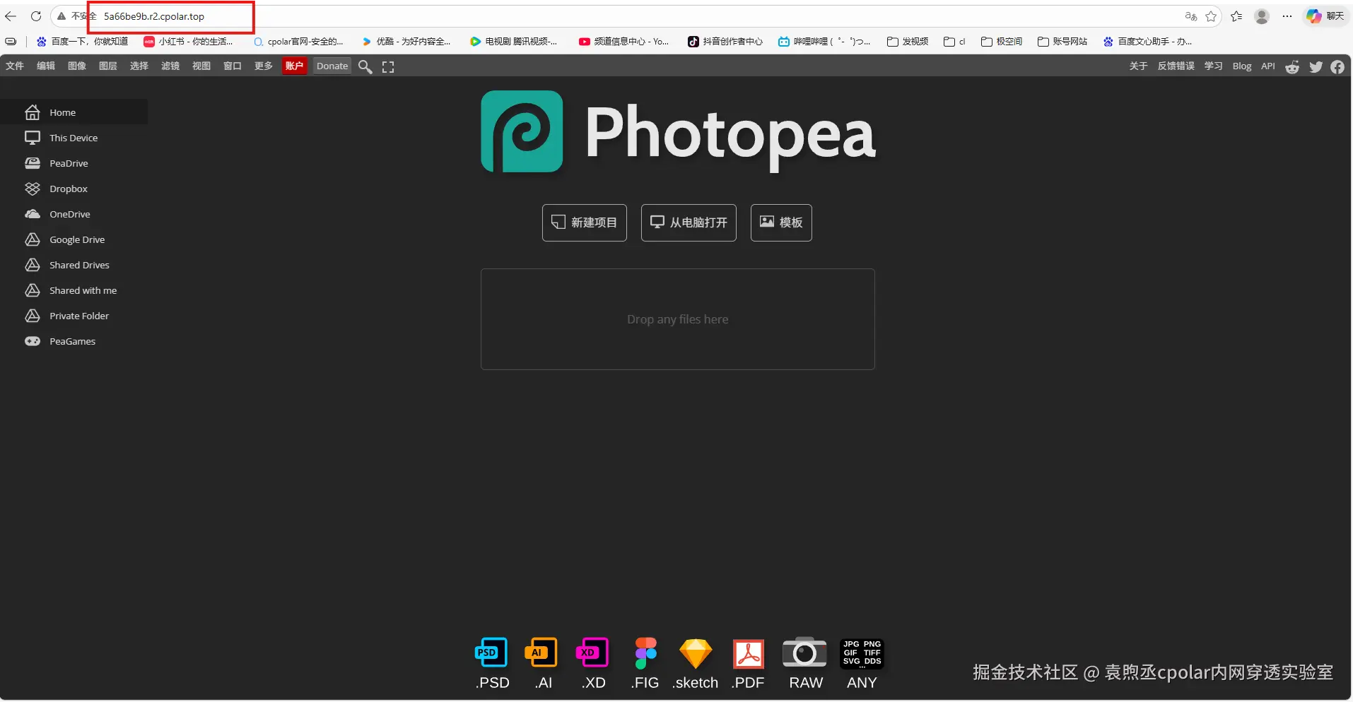 image-20260211113601814