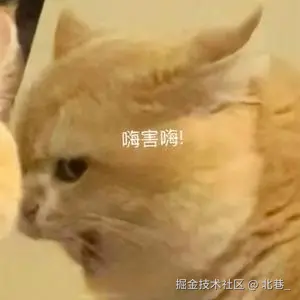 image-20241203141459399.png