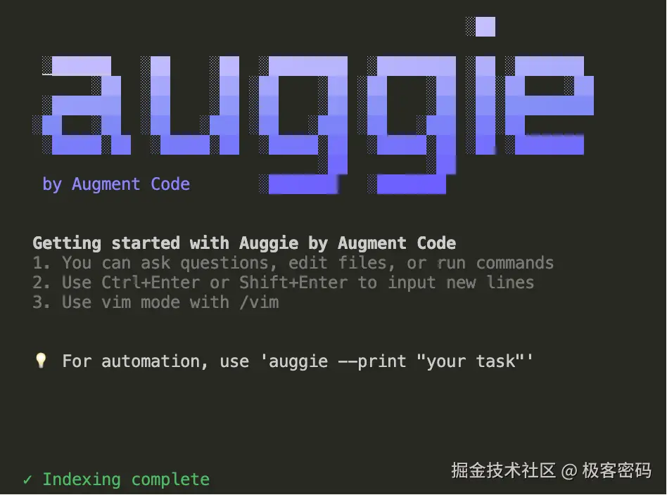 进入 Auggie
