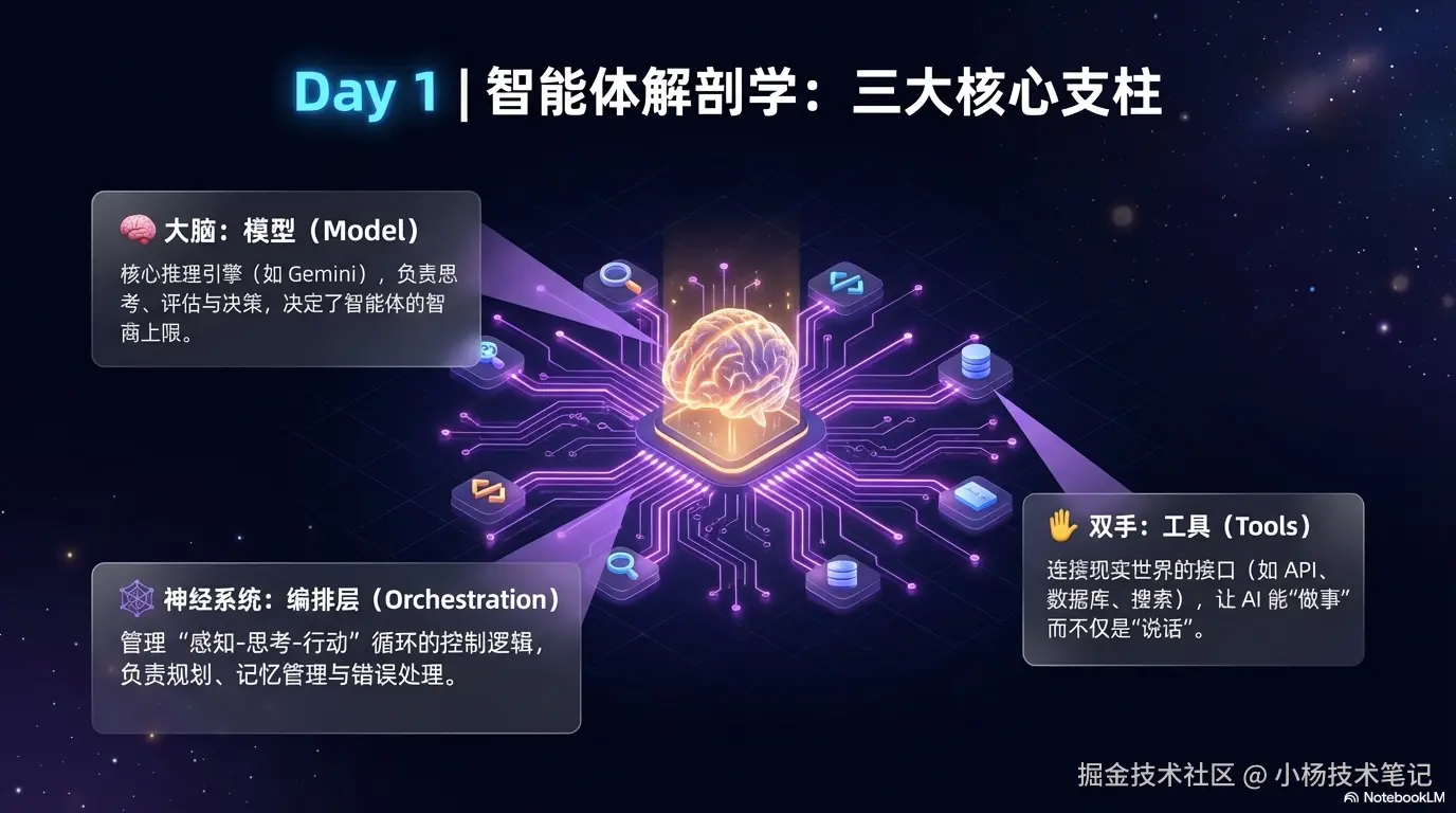 三大支柱