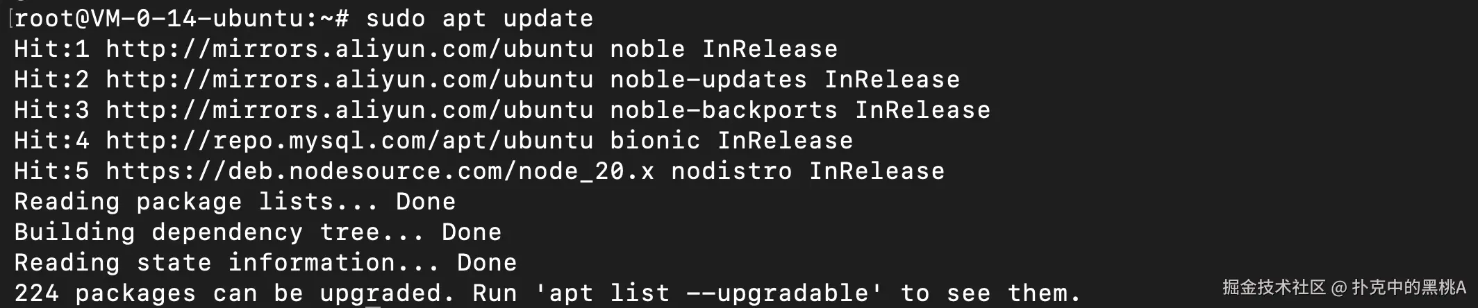 image-20251117010448022