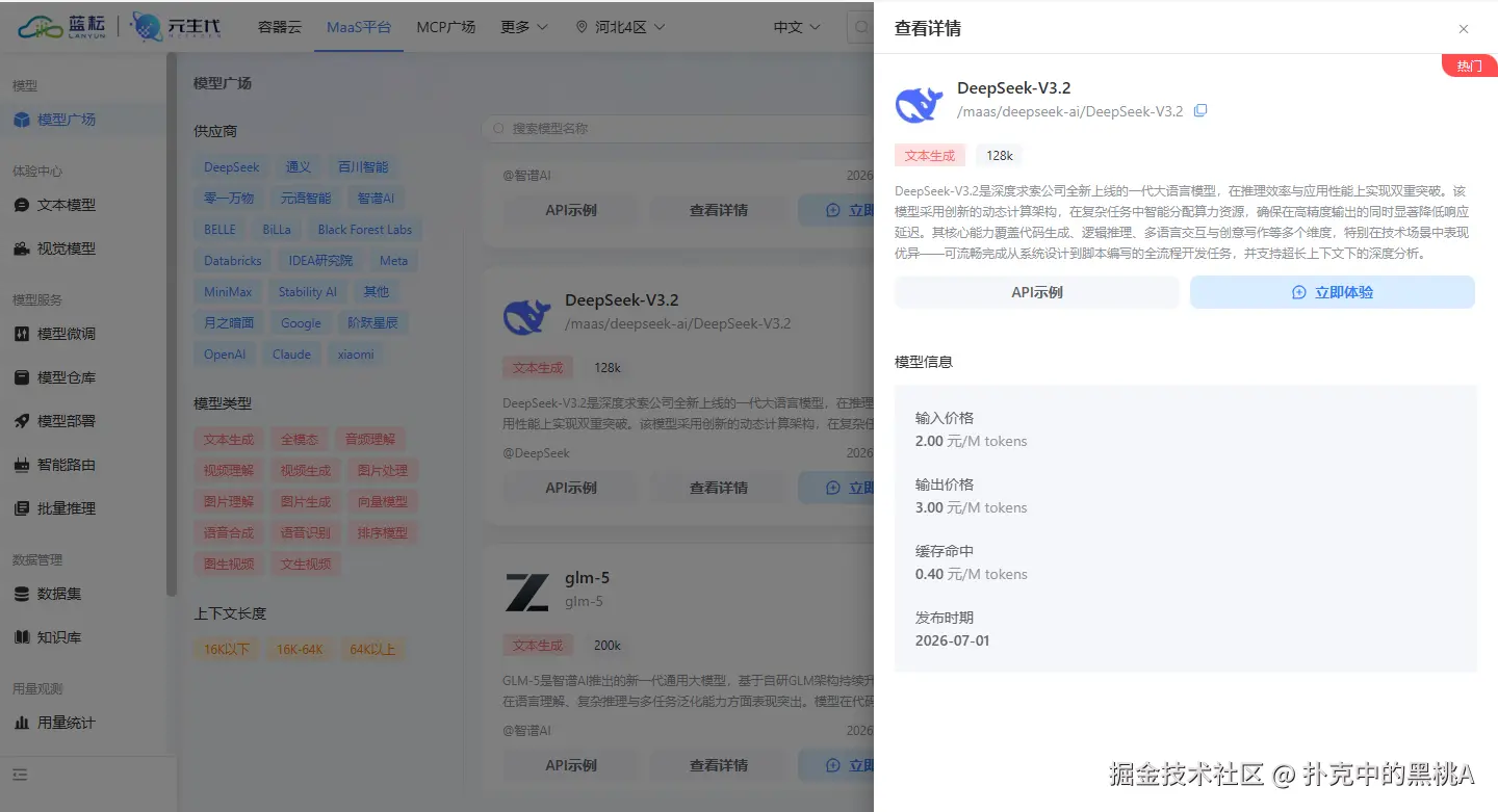 DS模型