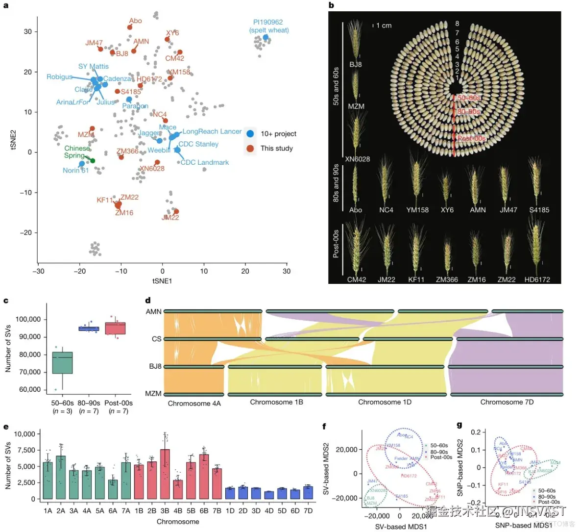  Sentieon项目文章 | 泛基因组揭示小麦结构变异与栖息地及育种的关联_数据分析_04