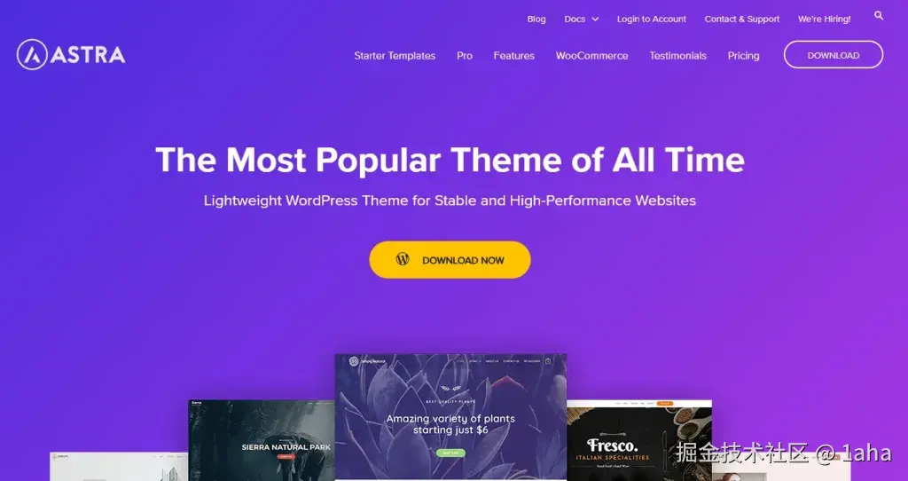 WordPress主题 Astra 官网