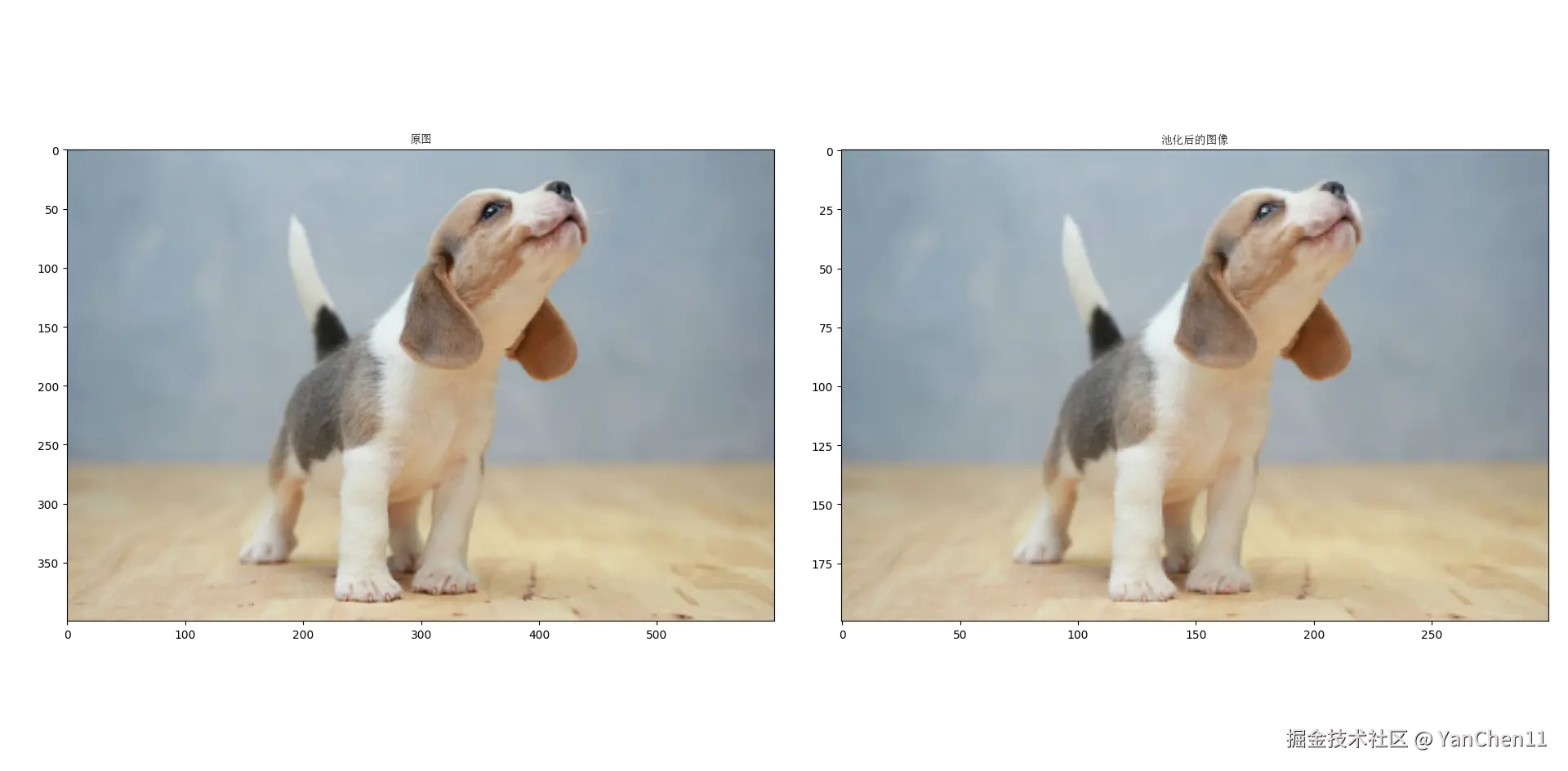图像池化前后的效果对比