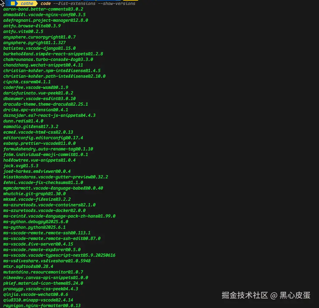 image-20250727164843982