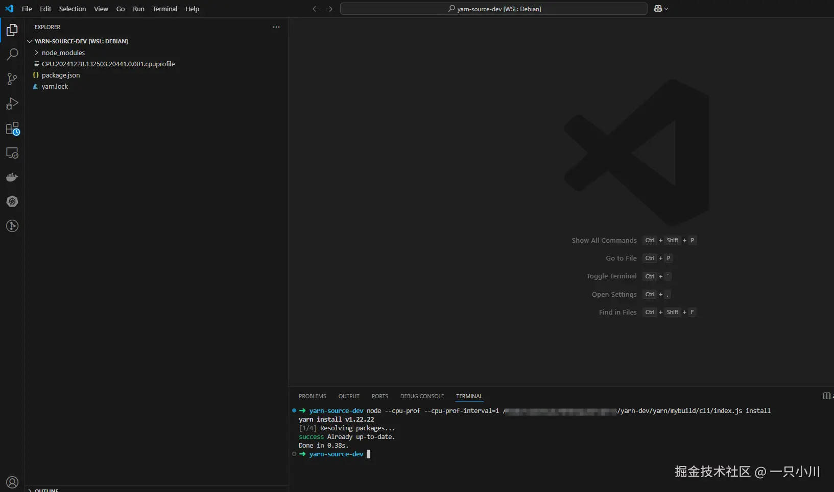 运行后生成cpuprofile文件