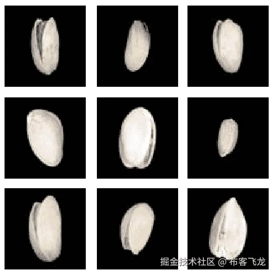 图 6.3 – PistachioShort 数据集的图像样本