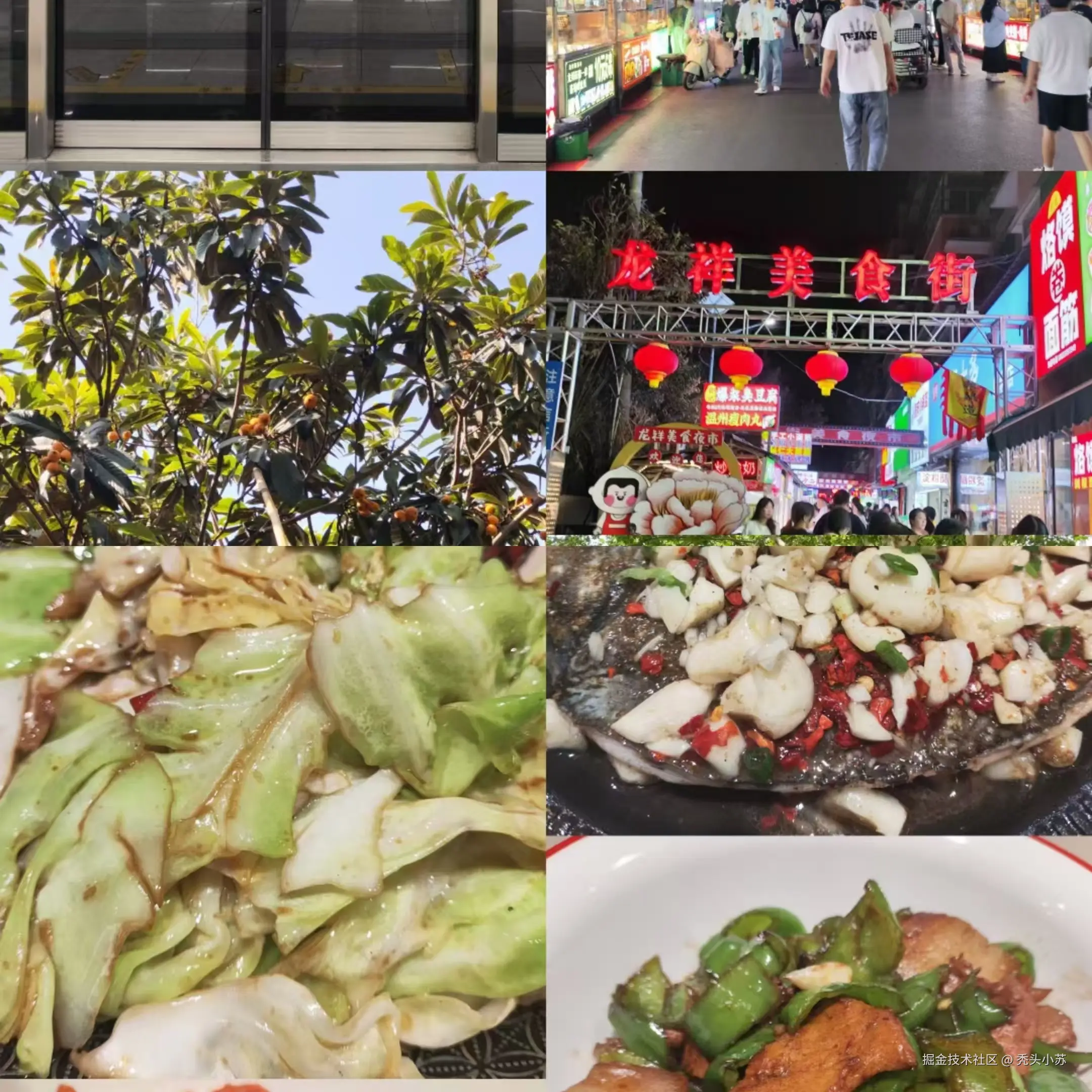 image-20250120203259209