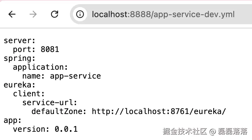 Config Service 公共配置文件访问