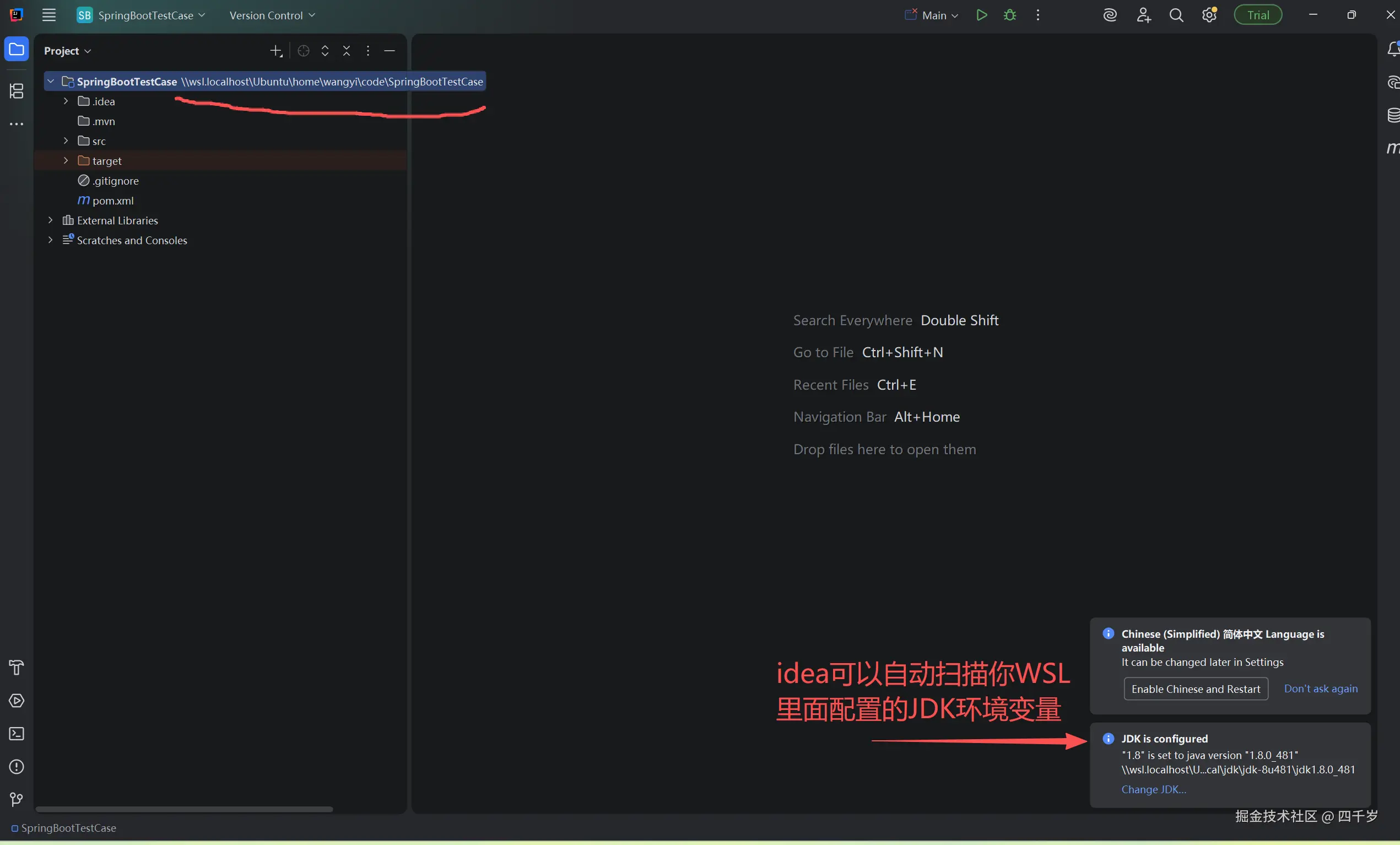 IDEA自动识别WSL中的JDK环境变量