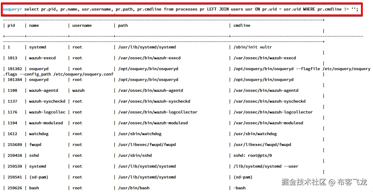 图 6.31 – 所有运行进程及其相应路径的结果