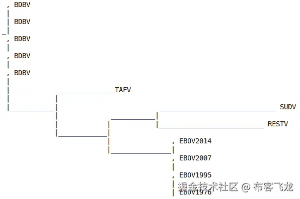 图 7.4 – 简化版埃博拉病毒数据集的 ASCII 表示