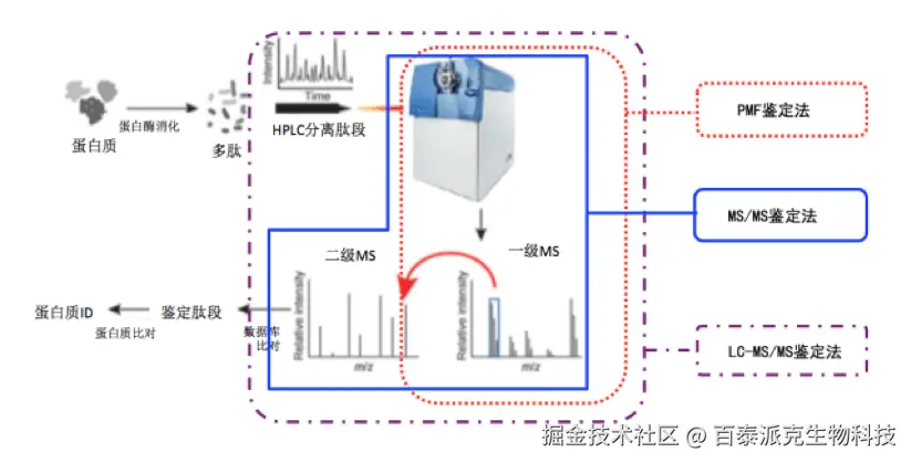 20221219-4591-三种蛋白质鉴定法比对.png